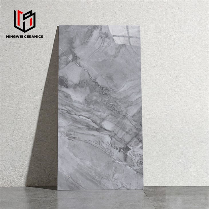 Polirane keramičke pločice sive boje