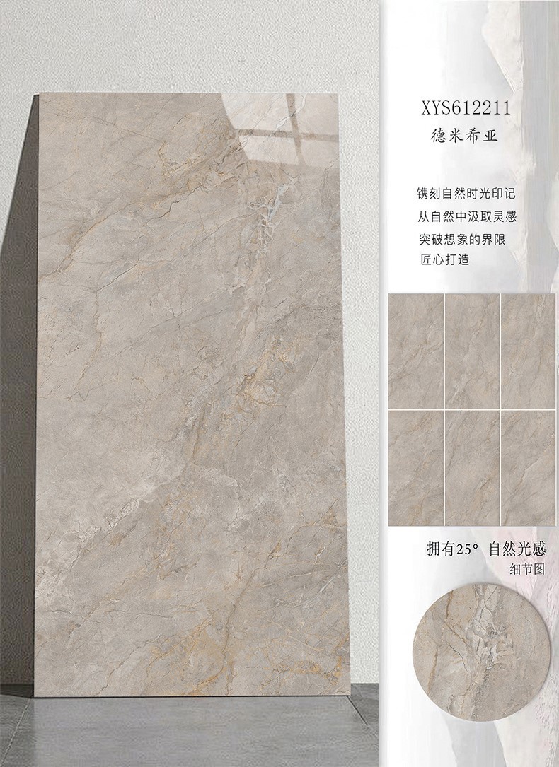 XYS612211- XYS612211-